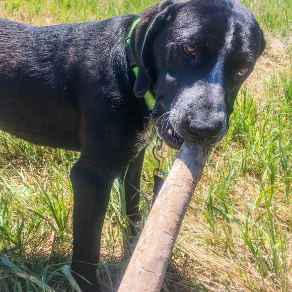 Meet your Posher, Katherine - Picture 2 of 3